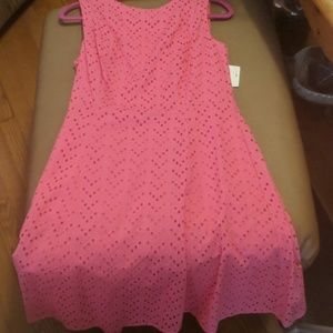 NWT Liz Claiborne eyelet dress